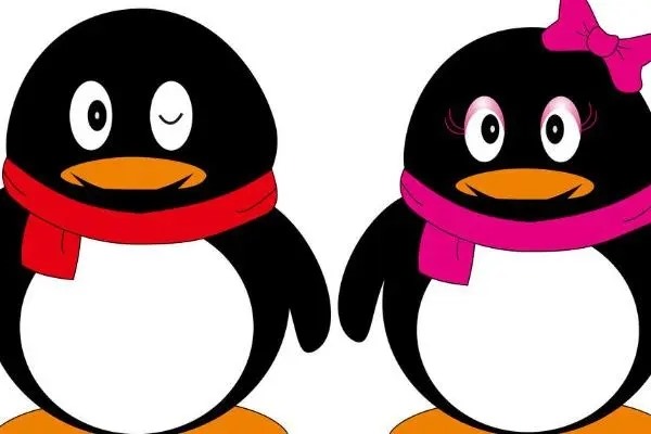 哪里可以买手机号和验证码？